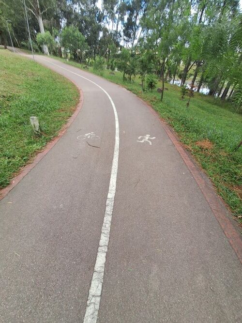 Fotografia em perspectiva de uma pista de asfalto que serpenteia por uma área arborizada. A pista é dividida ao meio por uma linha branca: o lado esquerdo exibe o pictograma de uma bicicleta e o direito, o de uma pessoa correndo. As bordas da pista são finalizadas com tijolos vermelhos, cercadas por gramado verde e árvores.