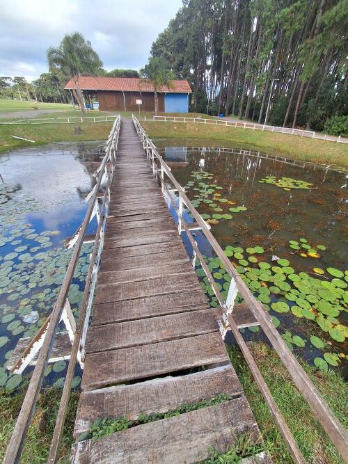 Perspectiva de uma ponte de madeira estreita e rústica que atravessa um pequeno lago com vitórias-régias e plantas aquáticas. Ao fundo, uma edificação com telhado de barro e uma parede azul, ladeada por pinheiros altos sob um céu nublado.