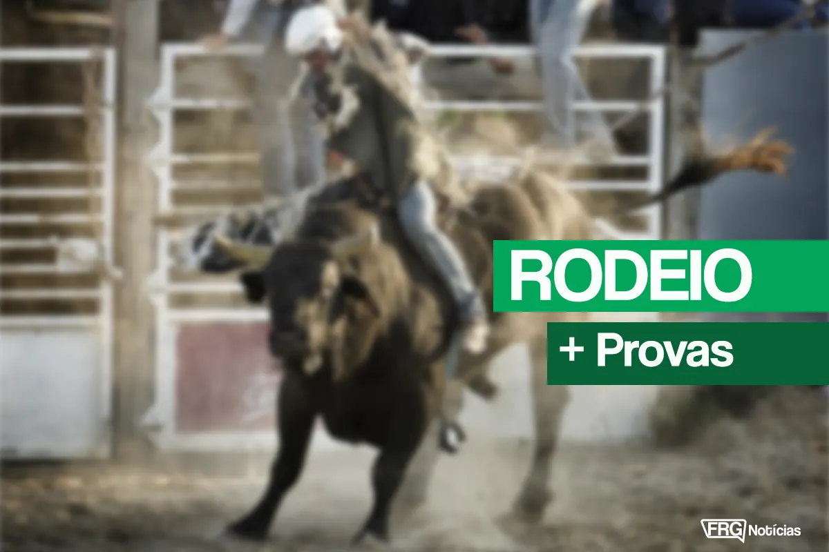 Rodeio em touro com peão montado durante as provas da Expofazenda, evento tradicional em Fazenda Rio Grande, Paraná. Foto jornalística do FRG Notícias.